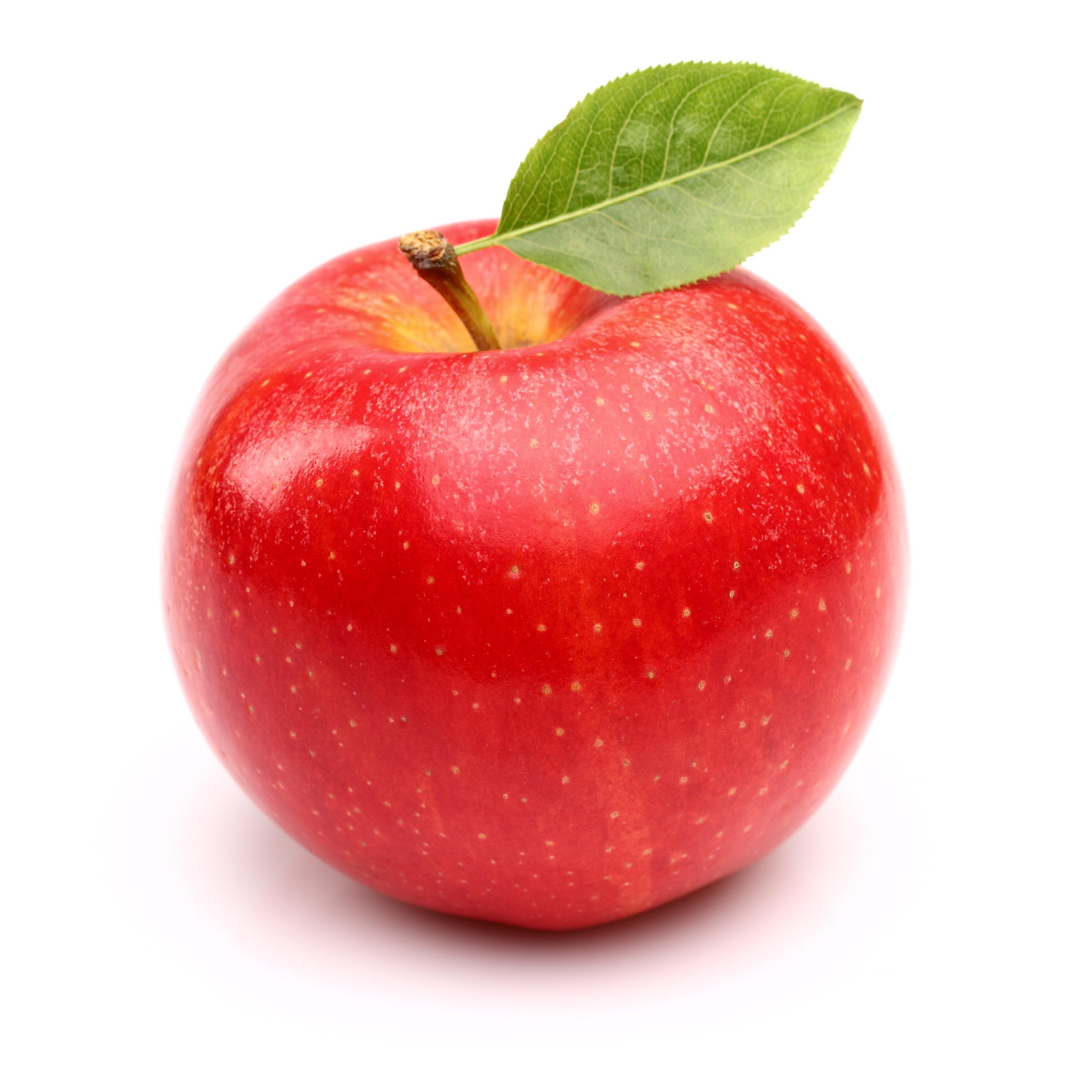 фото яблока пнг
