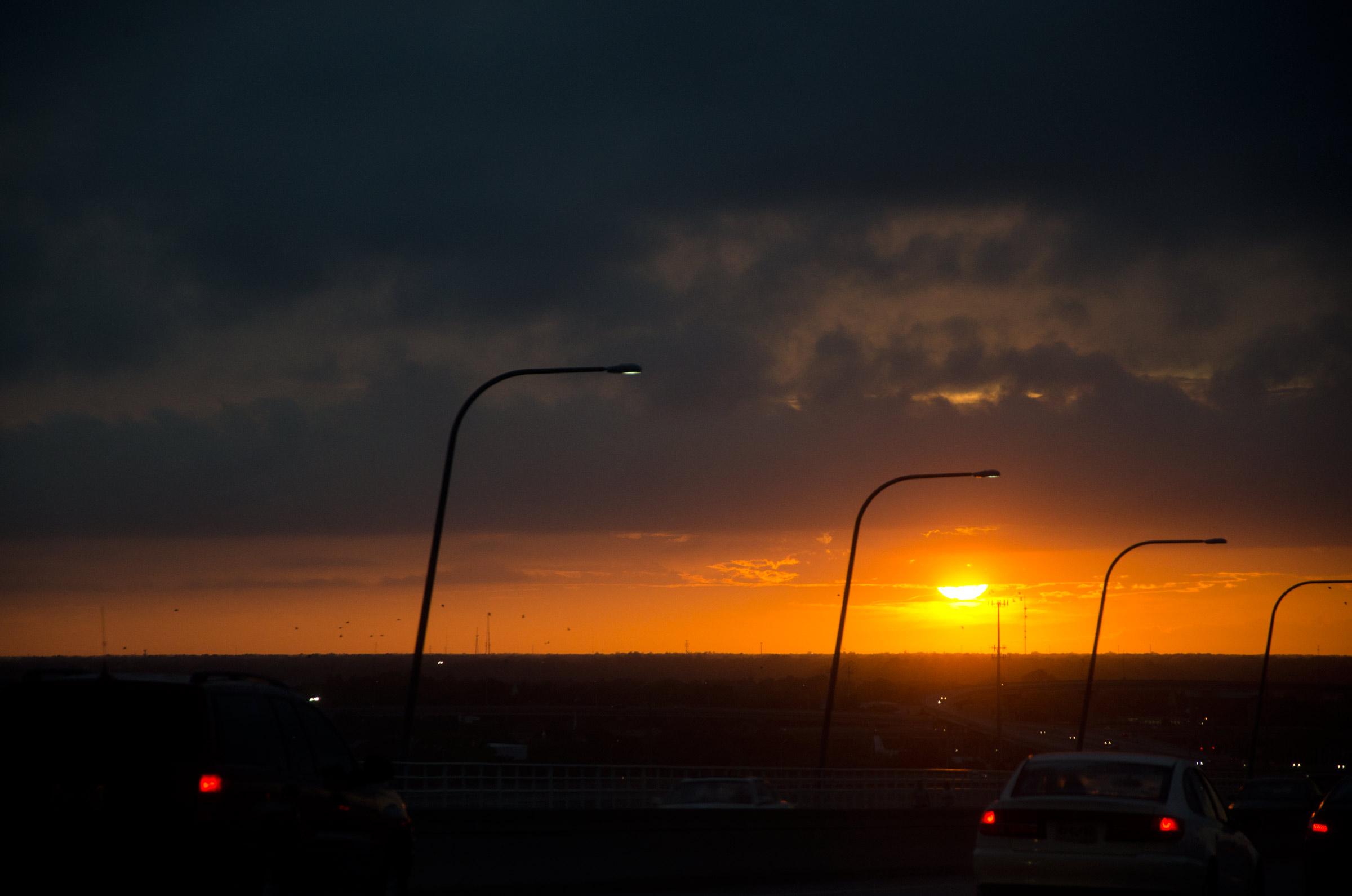 Al tramonto vanno in catalessi, si risvegliano all'alba: sono i fratellini del  sole