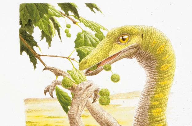 Dromiceiomimus