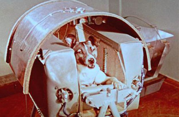 laika_sputnik